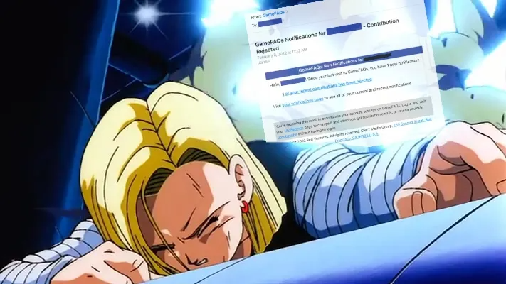 Description of Image 1