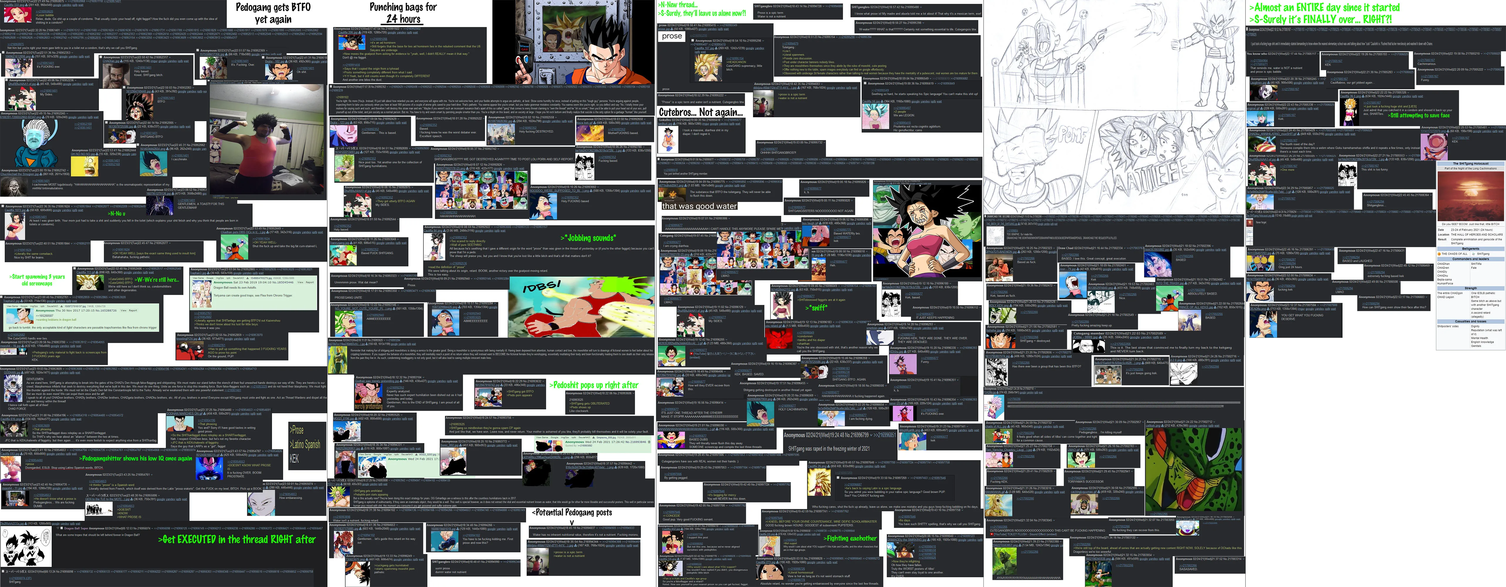 Description of Image 1