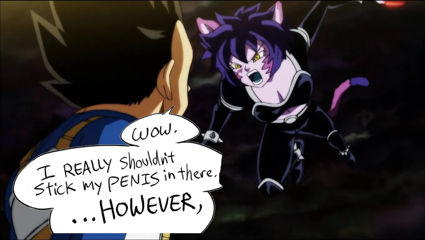 Description of Image 2