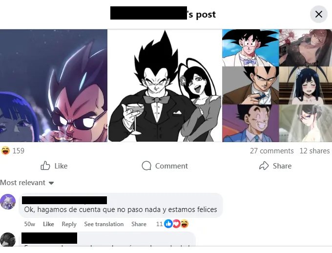 Description of Image 1