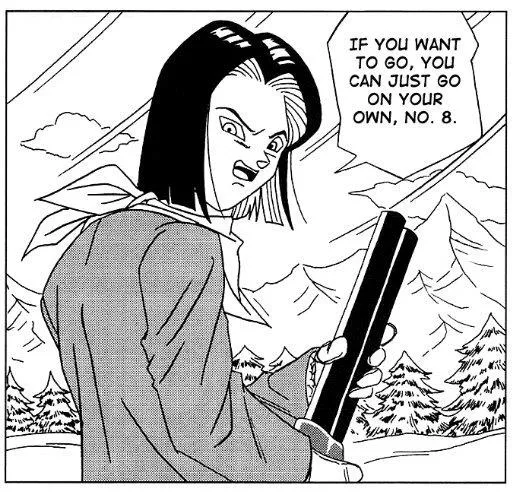 Description of Image 1